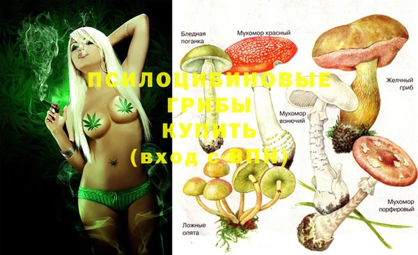 не бодяженный Абаза